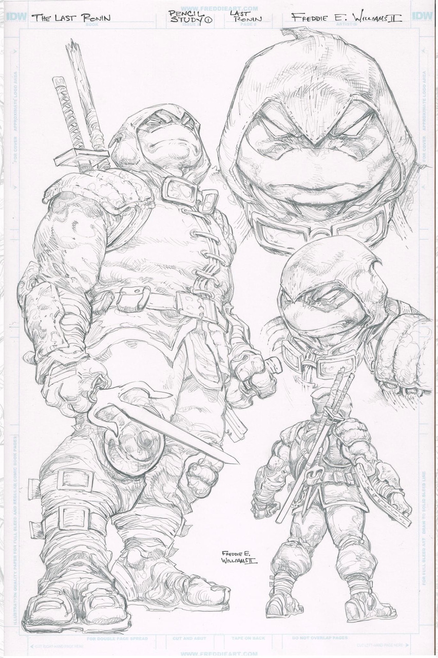 Michelangelo (Ronin-verse)/Gallery | TMNTPedia | Fandom