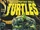 Teenage Mutant Ninja Turtles issue 10 (Image)