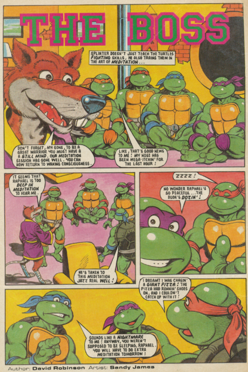 Knockout City, TMNTPedia