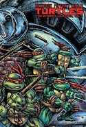 Teenage Mutant Ninja Turtles: The Ultimate Collection Volume 7