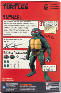 Teenage Mutant Ninja Turtles BST AXN Action Figure Donatello (IDW Comics)  13 cm