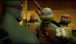 Mikey, Don and Raph