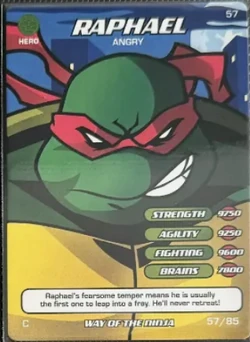 Raphael, Angry | TMNTPedia | Fandom