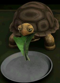 Rise of the Turtles, Part 2/Animations | TMNTPedia | Fandom Rise of the Turtles, Part 2/Animations | TMNTPedia | Fandom