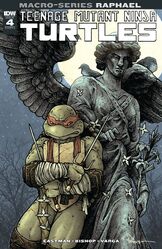 Raphael: Teenage Mutant Ninja Turtles (Macro-Series) IDW Publishing