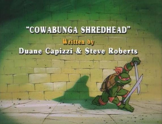 4 VHS Tapes / Teenage Mutant Ninja Turtles Cowabunga, Shredhead