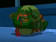 Raph Mikey fight