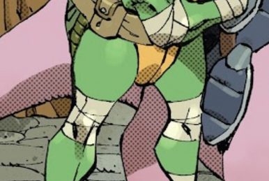 https://static.wikia.nocookie.net/tmnt/images/c/cc/Raphael-20-20-IDW.png/revision/latest/smart/width/386/height/259?cb=20221122024040