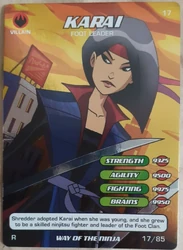 Karai, Foot Leader Way of the Ninja