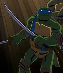 Leonardo Batman vs. TMNT