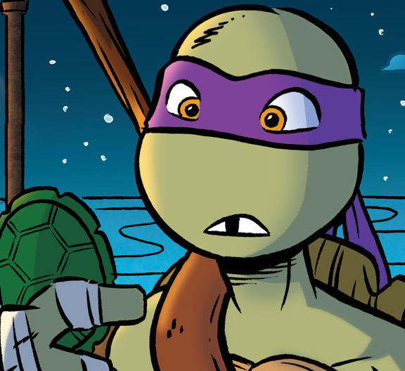 Donatello (Teenage Mutant Ninja Turtles, 2003) - Incredible
