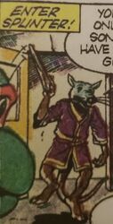 Splinter TMHT Comic strip