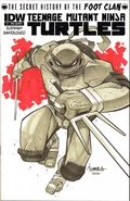 TMNT SHotFC 1I.jpg (98 KB) Issue 1 IDW Limited Cover (Jon Sommariva)