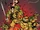 Teenage Mutant Ninja Turtles Classics, Volume 2
