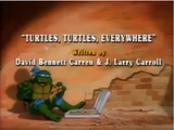 Turtles, Turtles, Everywhere