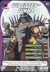 Shredder-Shiva Way of the Ninja