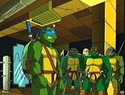 Leo,Raph,Don and Mikey 3