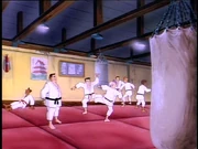 Dojo interior