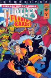 Tmnt flaming carrot 3