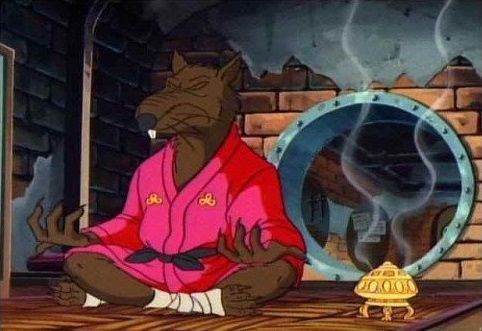 Master Splinter's Wooden Cane (Object) - Comic Vine