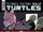 Teenage Mutant Ninja Turtles issue 120 (IDW)