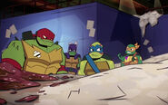 The Turtles