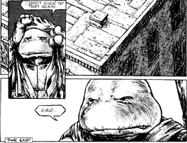 Future Donatello Mirage