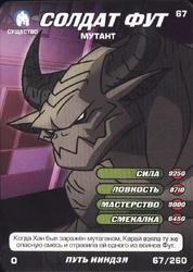 Foot Soldier, Mutant Way of the Ninja