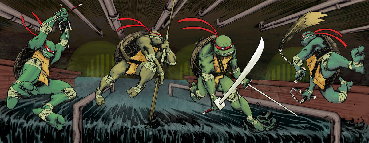 https://static.wikia.nocookie.net/tmnt/images/e/e7/Tmnt-coverspread.jpg/revision/latest/scale-to-width-down/1200?cb=20110520014218