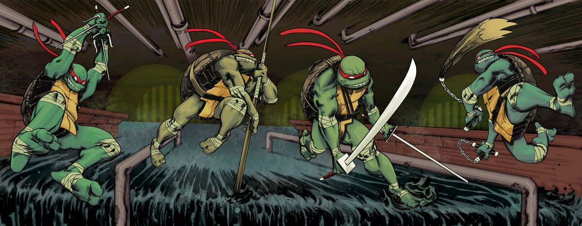 2003 comics and ready to read books : r/TMNT