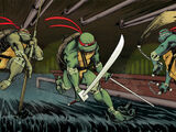 Teenage Mutant Ninja Turtles (IDW)