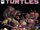 Teenage Mutant Ninja Turtles issue 103 (IDW)