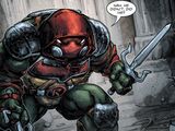 Raphael (Crisis in a Half Shell)