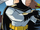 Bruce Wayne (DC Animated Universe)
