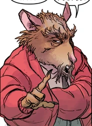 Splinter | TMNTPedia | Fandom