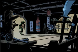 An exercise room/armory