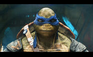 Teenage-mutant-ninja-turtles-gallery-12