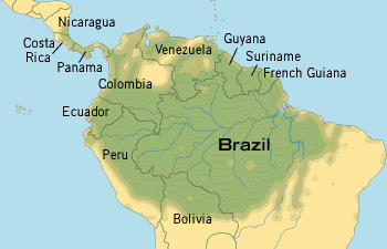 Selvas Forest In World Map Amazon Rainforest | Tmntpedia | Fandom