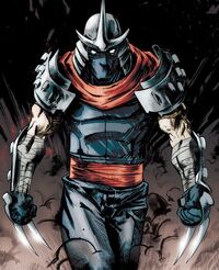 IDW Shredder