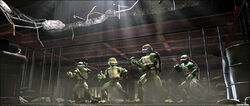 Tmnt-turtles-fighting-800