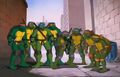 The 8 turtles