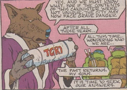 Splinter (Movie adaptation)/Gallery | TMNTPedia | Fandom