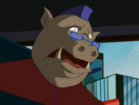 Bebop 2003 Serie Cameo