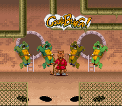 Turtle Lair 1987 video games