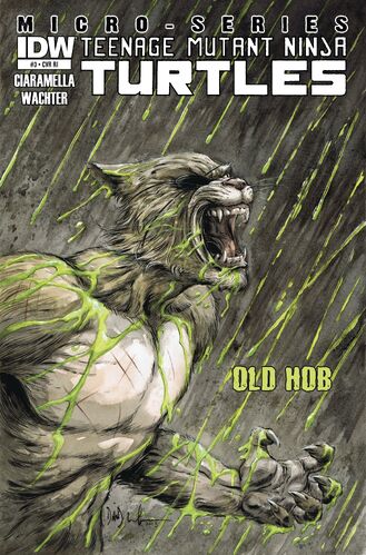 IDW-One-shot Old-Hob Cover-RI