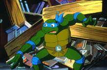 Turtles leonardo