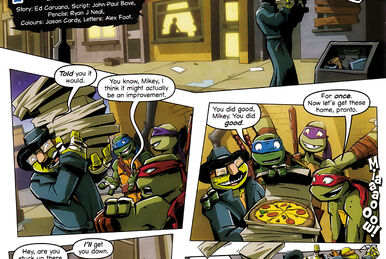 Teenage Mutant Ninja Turtles Amazing Adventures The Meeting Of The