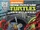 TMNT: New Animated Adventures issue 24