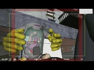 Primary Animation