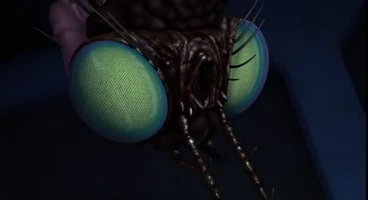 Fly dive.png (158 KB)